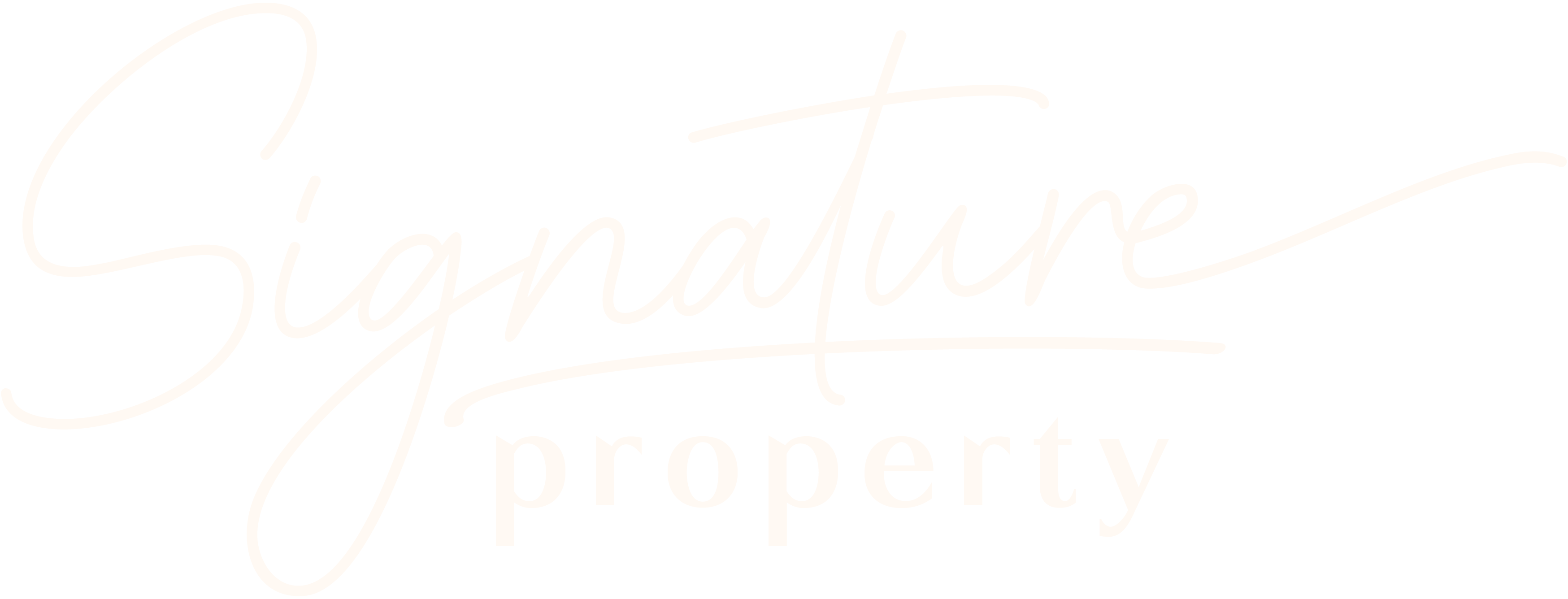 Signature Property